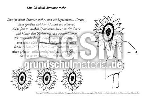 M-Das-ist-nicht-Sommer-mehr-Flaischlen.pdf